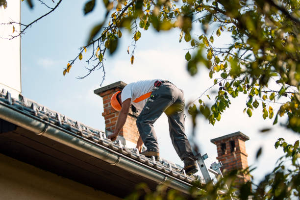 Best Gutter Installation and Roofing  in Sarand, AL