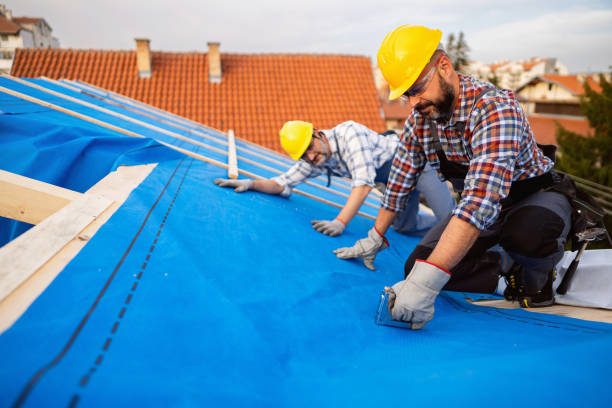 Best Metal Roofing Contractor  in Sarand, AL