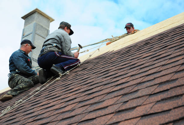 Best Roof Leak Repair  in Sarand, AL