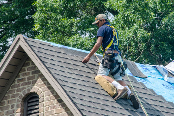 Best Roof Waterproofing Services  in Sarand, AL